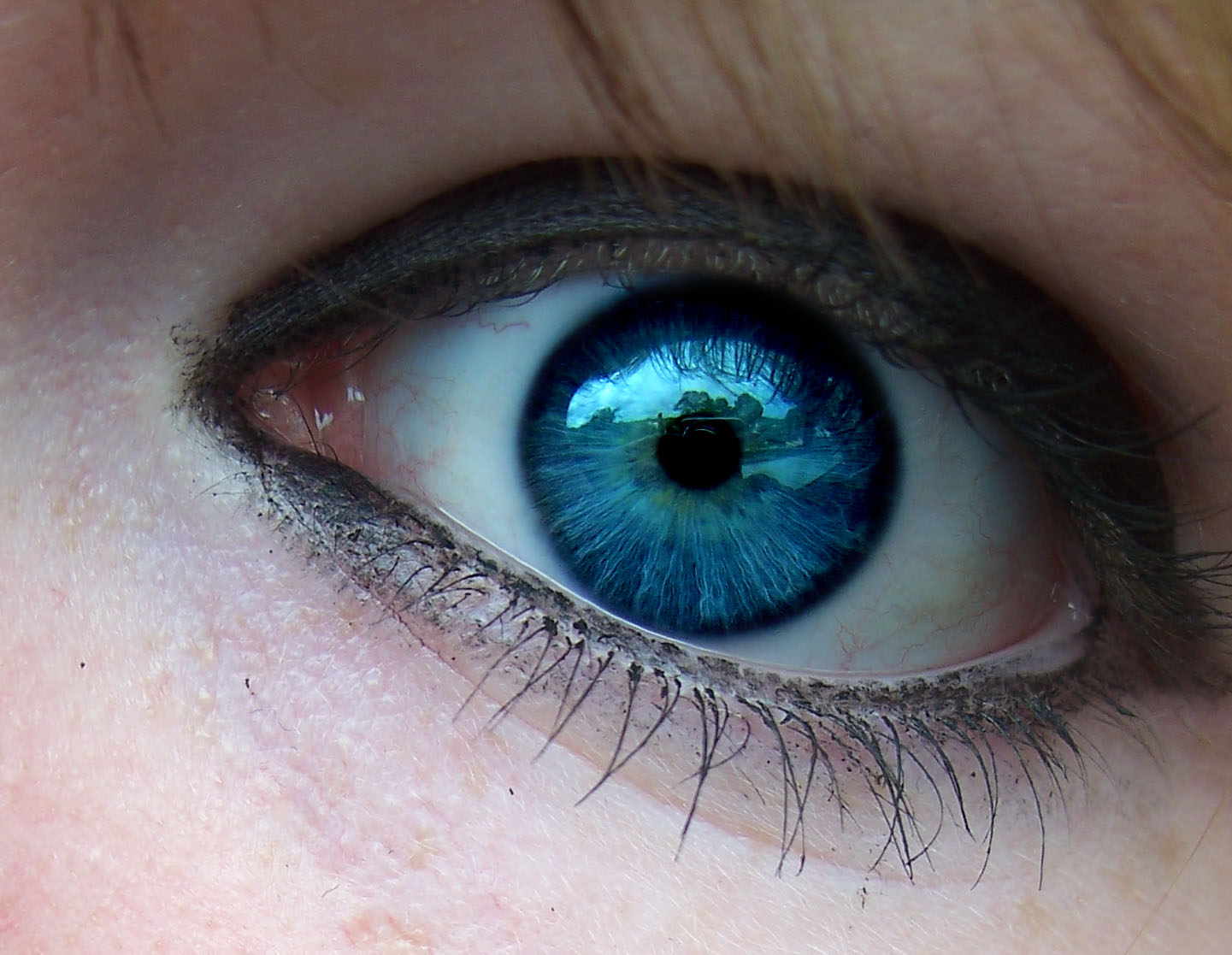 Глас. Болотный цвет глаз гетерохромия. Синие глаза. Синий цвет глаз. Темно синие глаза.